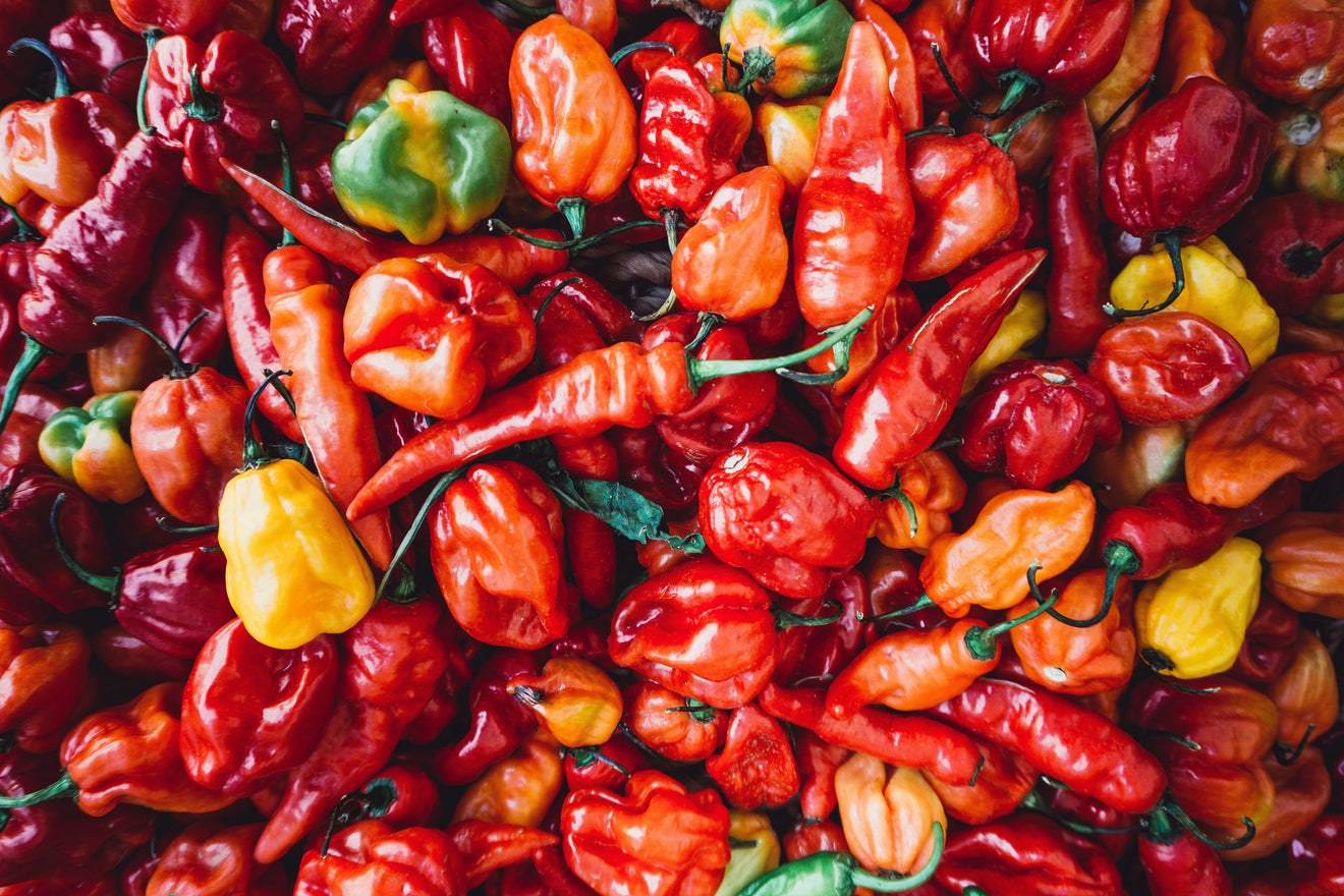 Crazy Bastard Sauce Chilis